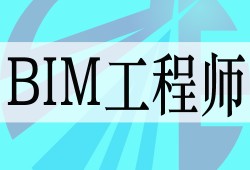 造價(jià)bim工程師,bim造價(jià)工程師能從事造價(jià)工作嗎