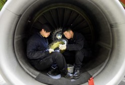 飛機維修工程師學什么專業飛機結構維修工程師待遇