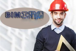 bim應用工程師是什么bim應用工程師是什么意思