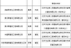 包含造價(jià)工程師的掛靠的詞條