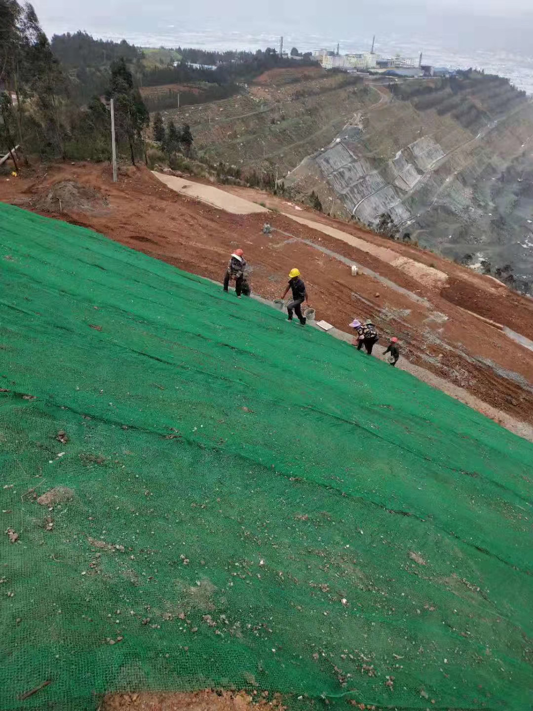 三維植被網護坡三維植被網護坡價格  第1張