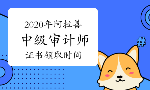 關于審計單位要不要造價工程師的信息  第1張